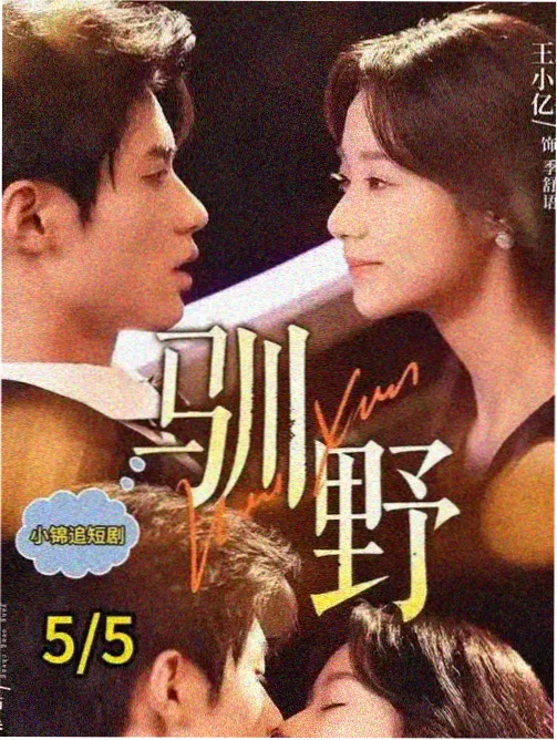 熟年 剧集海报